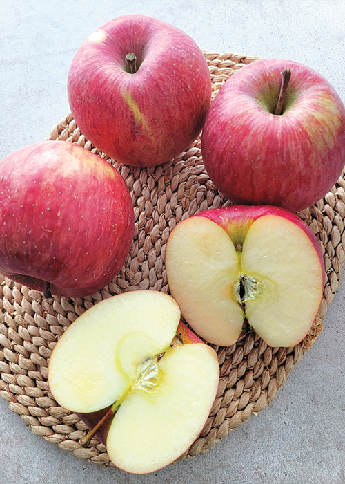청송 사과 (중과, 5kg, 20과)